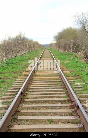 La ferrovia si estende in lontananza sullo sfondo di giovani verdi erba e alberi in primavera. Foto Stock