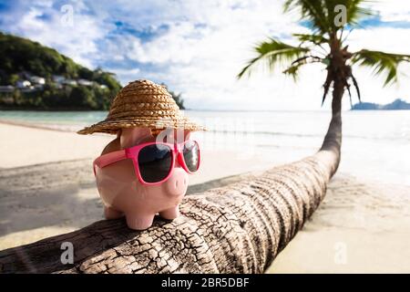 Close-up di Rosa Piggybank con gli occhiali da sole sul tronco di albero in spiaggia Foto Stock