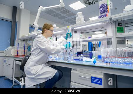 Laboratorio della fabbrica farmaceutica Novartis di San Pietroburgo. Foto Stock