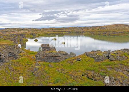 Stagno calma nella tundra in autunno vicino al Lago Myvatn nel nord dell'Islanda Foto Stock