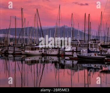 Dawn, porto di Sausalito, Mount Tamalpais, Marin County, California Foto Stock