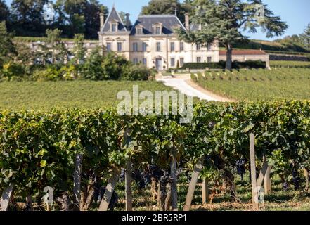 Saint Emilion, Francia - 11 Settembre 2018: Vigneto di Chateau Fonplegade - nome (letteralmente fontana di abbondanza) è stata derivata dalla storica xiii ce Foto Stock