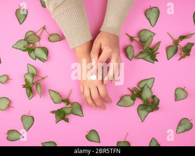 Femmina di strisci mano crema bianca sull'altro lato e Verde foglie fresche della pianta su un sfondo rosa, vista dall'alto. Concetto di cura naturali prodotti cosmetici Foto Stock