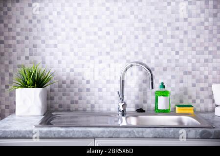 Pianta in vaso vicino al lavabo moderno e il rubinetto in cucina Foto Stock