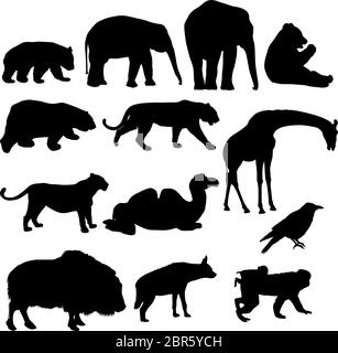 Silhouette elephant bear eagle trotto duck zebra parrot su uno sfondo bianco. Illustrazione Vettoriale