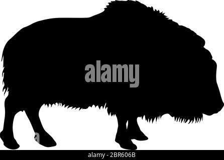 Silhouette del bison su uno sfondo bianco. Illustrazione Vettoriale