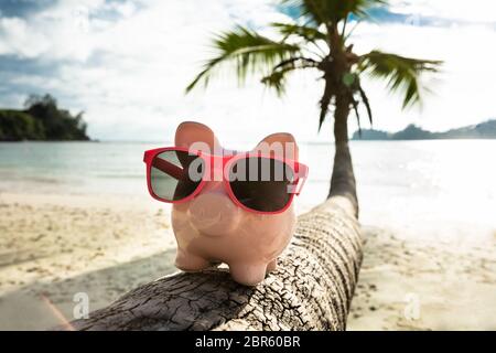 Close-up di Rosa Piggybank con gli occhiali da sole sul tronco di albero in spiaggia Foto Stock