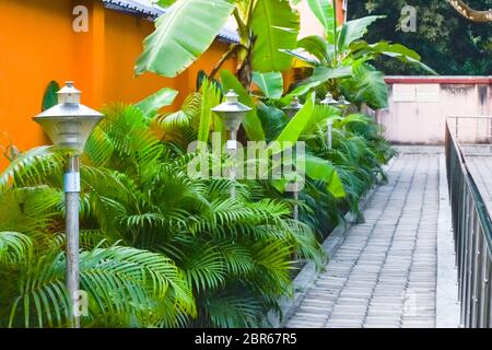 Un ben curato giardino con rocce decorate percorso, piante ornamentali, e cespugli di fiori. Prato anteriore di una casa vivente con percorso di calcestruzzo. Foto Stock