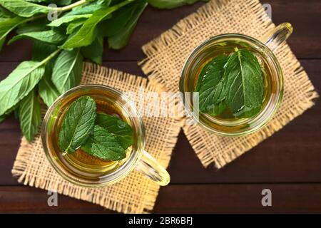 Preparate di fresco menta tè alle erbe in bicchieri, guarnite con foglie di menta, fotografato overhead (messa a fuoco selettiva, concentrarsi sulle foglie del tè) Foto Stock