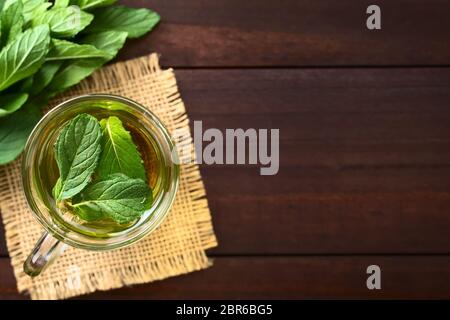 Preparate di fresco menta tè alle erbe in vetro, guarnite con foglie di menta, fotografato overhead (messa a fuoco selettiva, concentrarsi sulle foglie del tè) Foto Stock