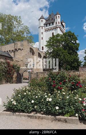 La torre del castello elettorale in Eltville sul Reno in Germania Foto Stock