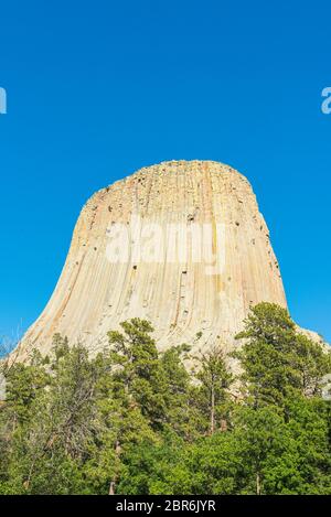 Devil torreggia contro il cielo blu nella stagione estiva, Wyoming, usa. Foto Stock