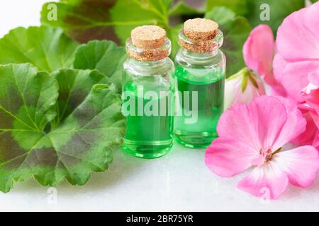 Estratto vegetale in viles con foglie di geranio e fiori di colore rosa Foto Stock