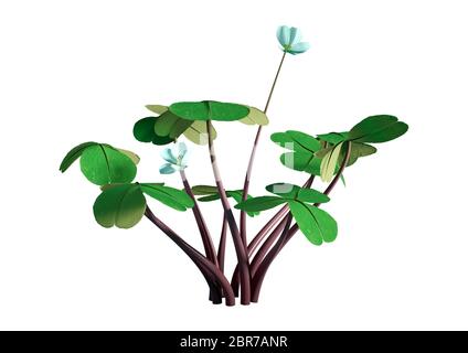 3D illustrazione di Oxalis acetosella o legno sorrel fiori isolati su sfondo bianco Foto Stock