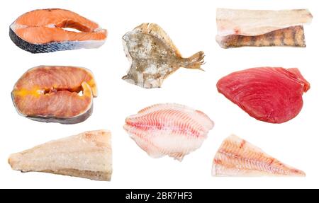 Varie materie Pesci congelati, bistecche e filetti (zander, storione, oceano pesce persico, tonno, merluzzo bianco, salmone, la passera pianuzza) isolato su sfondo bianco Foto Stock