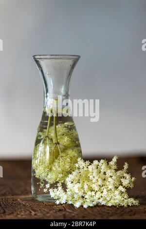 Lâ elderflower succo su legno scuro Foto Stock