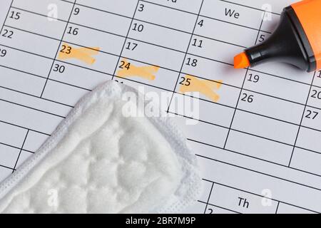 Cuscinetto femmina su un calendario con contrassegni di data e marker. Primo piano. Foto Stock