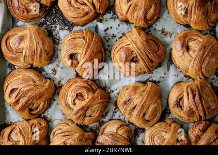 Focacce dolci alla cannella tradizionale svedese appena cotte su coperchio del forno con carta da forno. Foto Stock