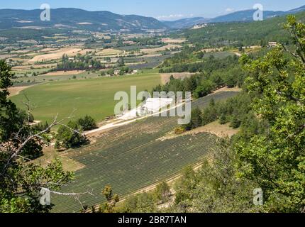 I campi e i prati nella valle sottostante Sault, Provenza Francia Foto Stock