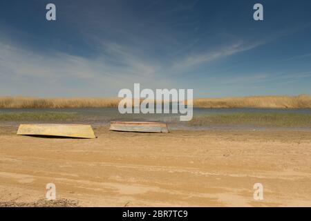 Barche a remi in canne. Imbarcazione in legno su un prato sul lago in un giorno di estate. Foto Stock