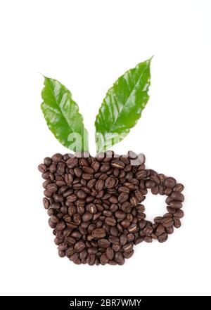 Caffè torrefatto bean con lasciare isolata su sfondo bianco Foto Stock