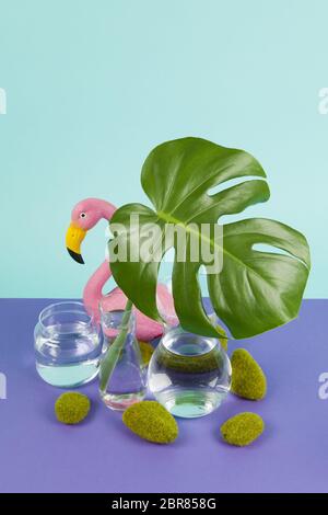 Trasparente vasi di vetro riempito con acqua ed un ramo di monstera deliciosa internamente nella parte anteriore di un fenicottero rosa di plastica su un turchese e viola indietro Foto Stock