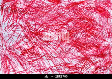 Bambino da opere d'arte. Red disegni a matita su carta bianca texture di sfondo. Foto Stock