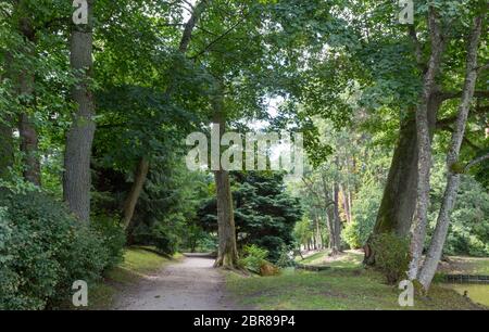 Palanga Botanical Park Lane in estate il mezzogiorno, Palanga, Lituania, Europa Foto Stock