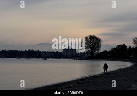 Un uomo è silhoueted mentre cammina lungo la riva di Willows Beach in Oak Bay sull'isola di Vancouver, British Columbia, Canada Foto Stock