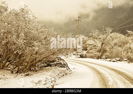 Mystic coperta di neve la strada forestale che conduce attraverso il lussureggiante fogliame, da Sonmarg a Gulmarg viaggiare a Srinagar, Pahalgam, presa in un viaggio in Kashmir Foto Stock