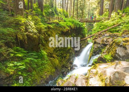 Vista panoramica dell'area delle cascate Sol duc nel parco nazionale olimpico di mt, Washington, usa. Foto Stock