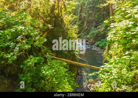 Vista panoramica dell'area delle cascate Sol duc nel parco nazionale olimpico di mt, Washington, usa. Foto Stock