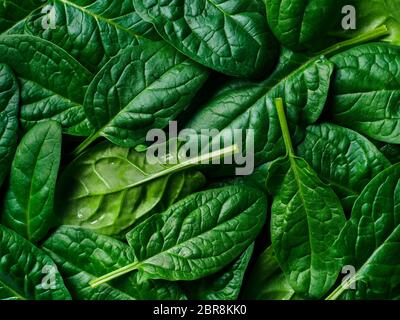 Motivo dal baby spinaci foglie. Fresco verde baby spinaci. Vista superiore piatta o laici. È possibile utilizzare per la progettazione vegane e cheto dieta Foto Stock