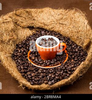 Fagioli di caffè tostati marroni, semi su sfondo scuro. Espresso scuro, aroma, caffeina nera. Closeup energia isolata mocha, cappuccino ingrediente. Foto Stock