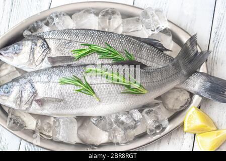 Freschi di spigola con rosmarino e spicchi di lime sul vassoio di metallo Foto Stock