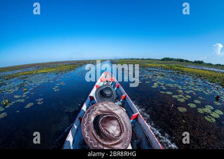 Navigando nel lago, dirigendosi dritto in avanti, navigando nello stagno con acqua bollente, sole del pomeriggio, il cielo è blu scuro. Foto Stock