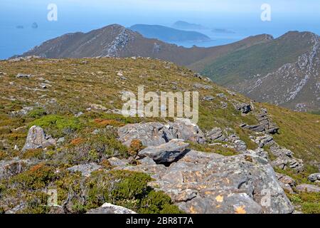 Vista dalla cima della catena Ironbound lungo la South Coast Track Foto Stock