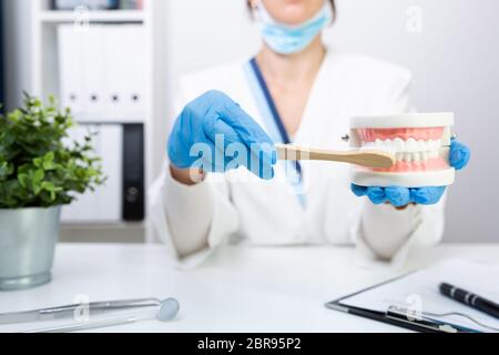 Dentista femmina spiegare circa la spazzolatura dei denti nella clinica, dente di ritegno spazzola denti e modello. Igiene dentale e salute con il concetto di esperti Foto Stock