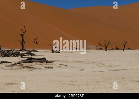 Una vista dal Dead Vlei, Sossusvlei Namibia Foto Stock