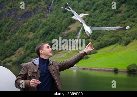 Alimentazione uomo gabbiani sorvolano il traghetto. Viaggio attraverso i fiordi norvegesi. Giovane maschio tourist sul ponte di una nave traghetto in Norvegia. Entertainm Foto Stock