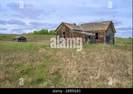 Vecchia casa di proprietà sulla prateria vicino a Big Valley, Alberta, Canada Foto Stock