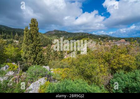 Vista della campagna verde nella regione di Askos di Zante o isola di Zante, Grecia Foto Stock