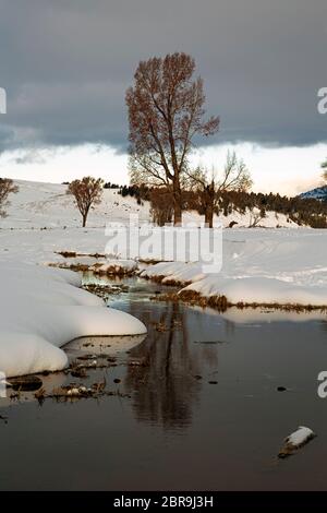 WY04535-00...WYOMING - piccolo torrente che attraversa la Valle di Lamar, coperta di neve, nel Parco Nazionale di Yellowstone. Foto Stock