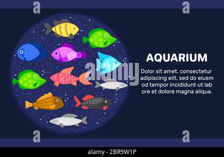Vettore colorato cartoon pesce in forma circolare. Mondo sottomarino. Acquario. Vita marina carina. Pesci. Brochure, volantino, etichetta, copertina, poster, banner, pac Foto Stock