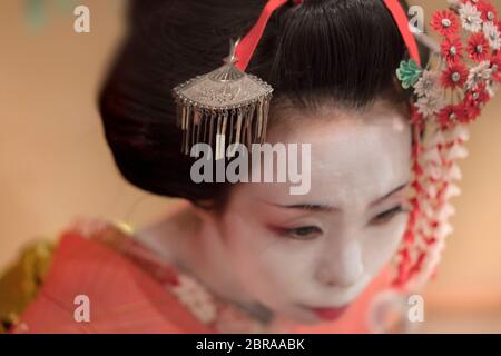 Giapponese Maiko o geisha in rosso kimono coifed capelli spilla con motivi di bianco e rosso fiori di susina Foto Stock
