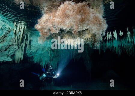 Sidemount tecnico subacqueo nuotare intorno a formazioni di pietra calcarea unico nel cenote Dreamgate in Messico. Foto Stock