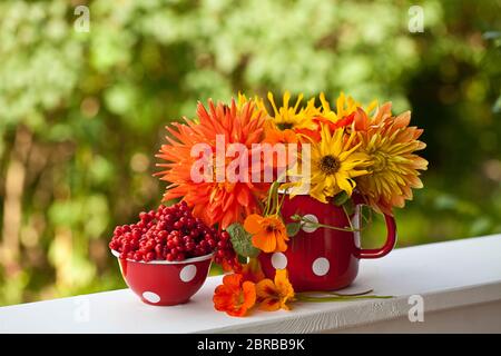 Bouquet autunnale di fiori e bacche rosse in una brocca rustica con pois di polka in una giornata di sole Foto Stock