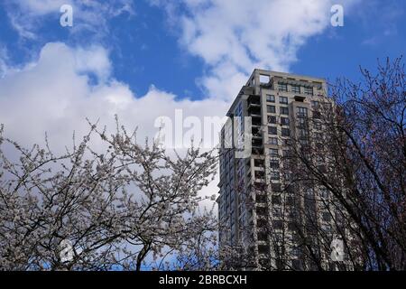 Coquitlam, BC, Canada - 31 marzo 2019 : edificio alto e foglia di albero soffiante contro il cielo blu nuvoloso Foto Stock