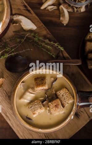 Rustico zuppa di funghi, ceco foresta di funghi freschi raccogliere nei boschi Foto Stock