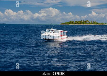 Ari Atoll, Maldive - 17 dicembre 2015: Motoscafo turistico che naviga in mare a Maldive, Oceano Indiano. Ormeggio motoscafo per il prelievo dei turisti Foto Stock